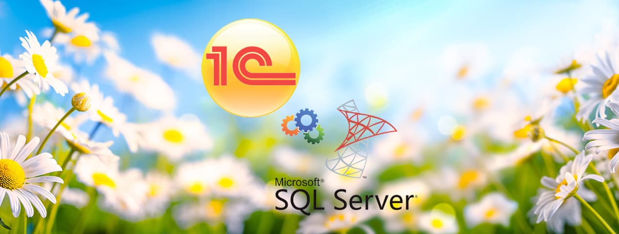 Обслуживание баз Microsoft SQL Server для работы 1С | ИТ-компания +Альянс Обслуживание баз Microsoft SQL Server для работы 1С | ИТ-компания +Альянс